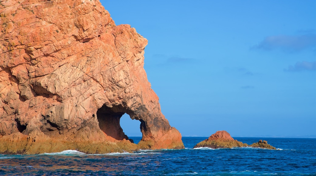 Berlenga Island which includes rocky coastline and general coastal views