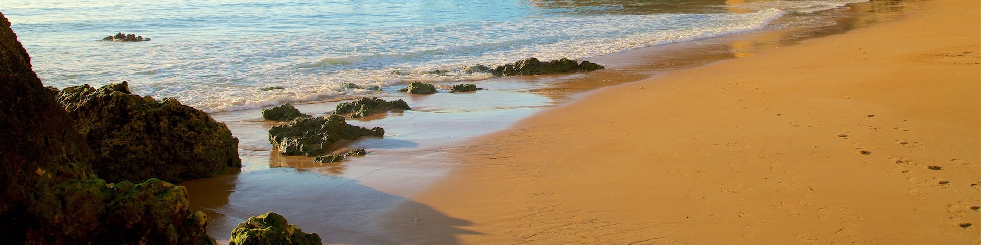 Dona Ana Beach featuring general coastal views, rugged coastline and a sandy beach
