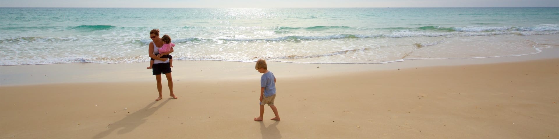 Faro Island Beach which includes general coastal views and a sandy beach as well as a family