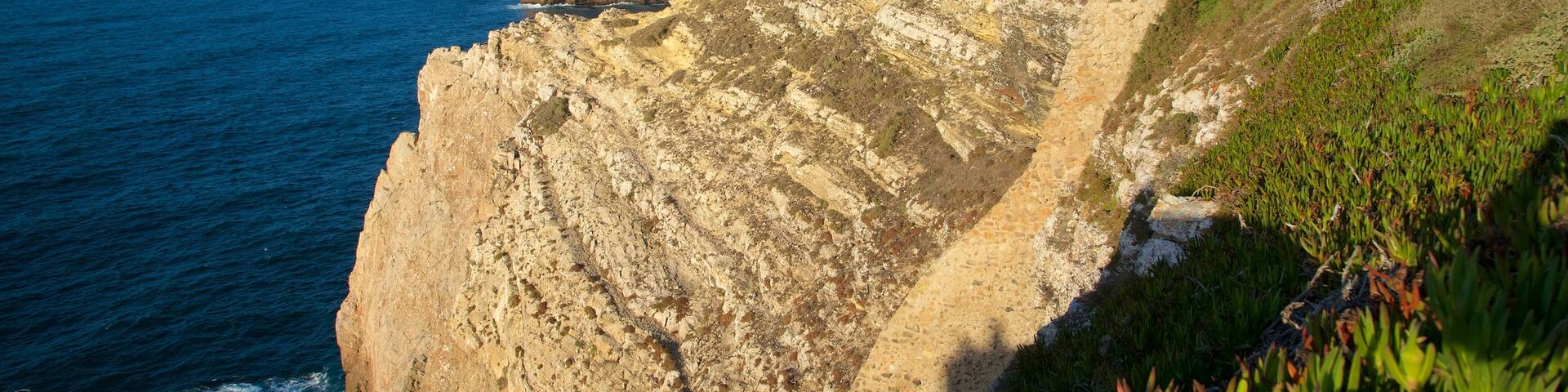 Cape St. Vincent Lighthouse showing rugged coastline, views and general coastal views