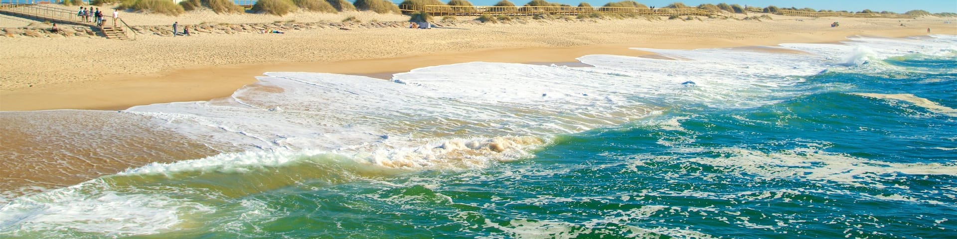 Costa Nova Beach showing a beach and general coastal views