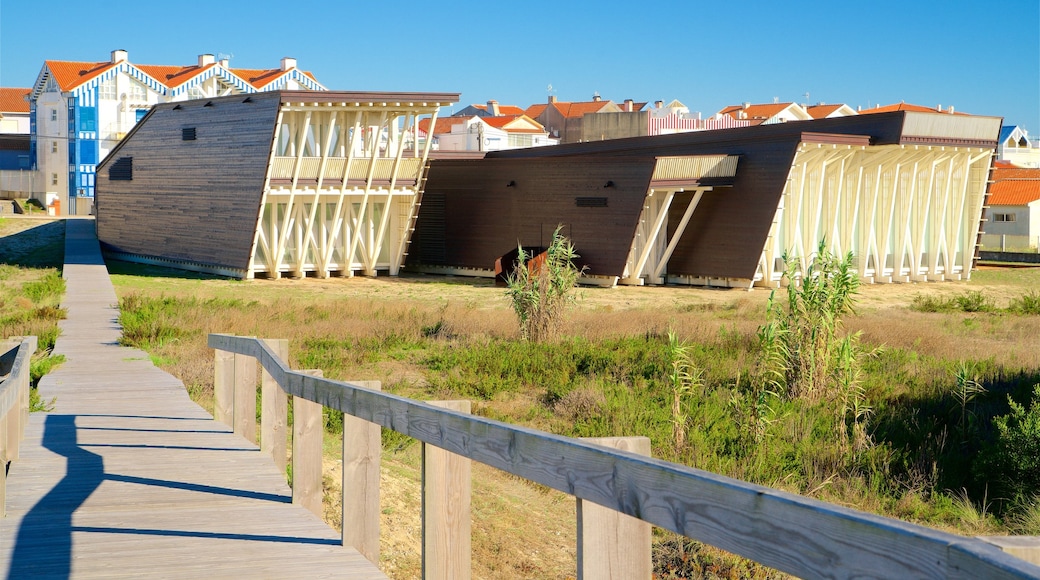 Praia da Costa Nova