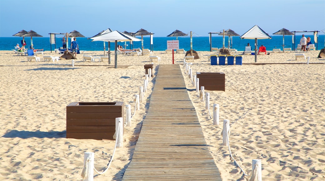 Plage d\'Ilha de Tavira montrant plage de sable et vues littorales