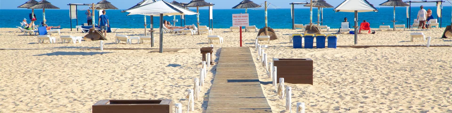Ilha de Tavira Beach showing general coastal views and a sandy beach