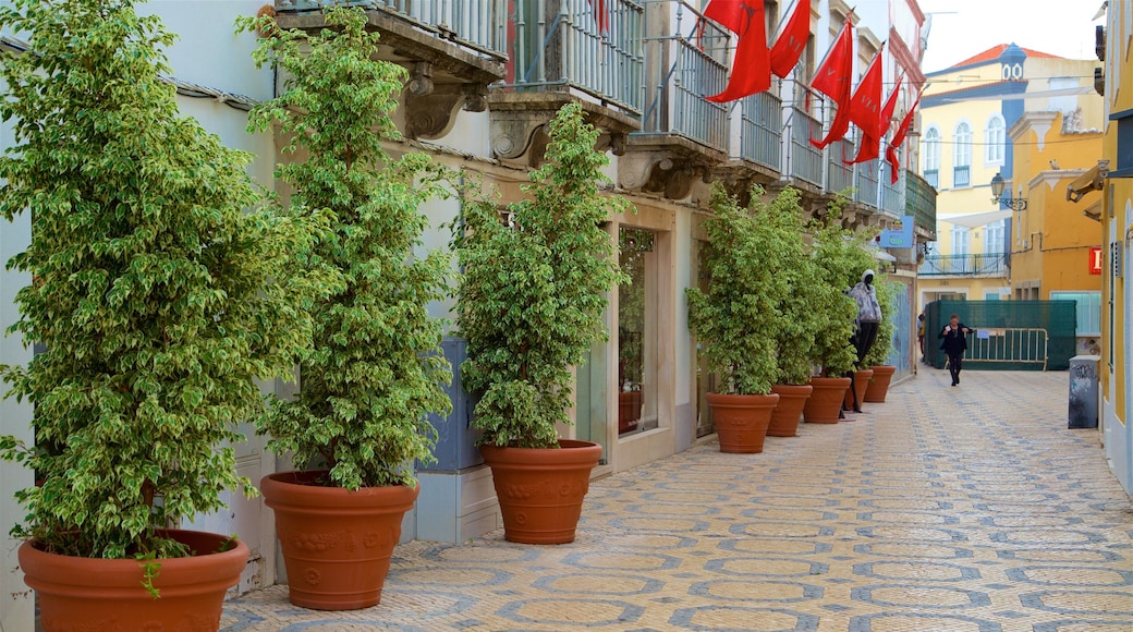 Casco antiguo de Faro