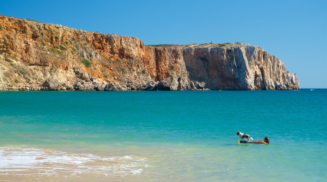 Praia da Mareta som inkluderar kustutsikter, gulliga djur och klippig kustlinje