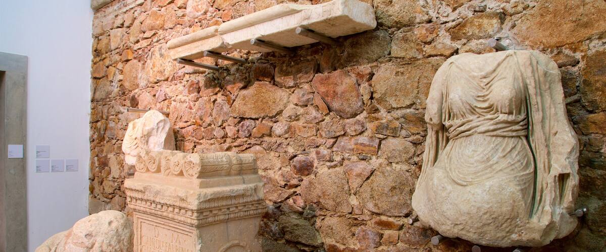 Museo de Évora mostrando elementos del patrimonio y vistas interiores