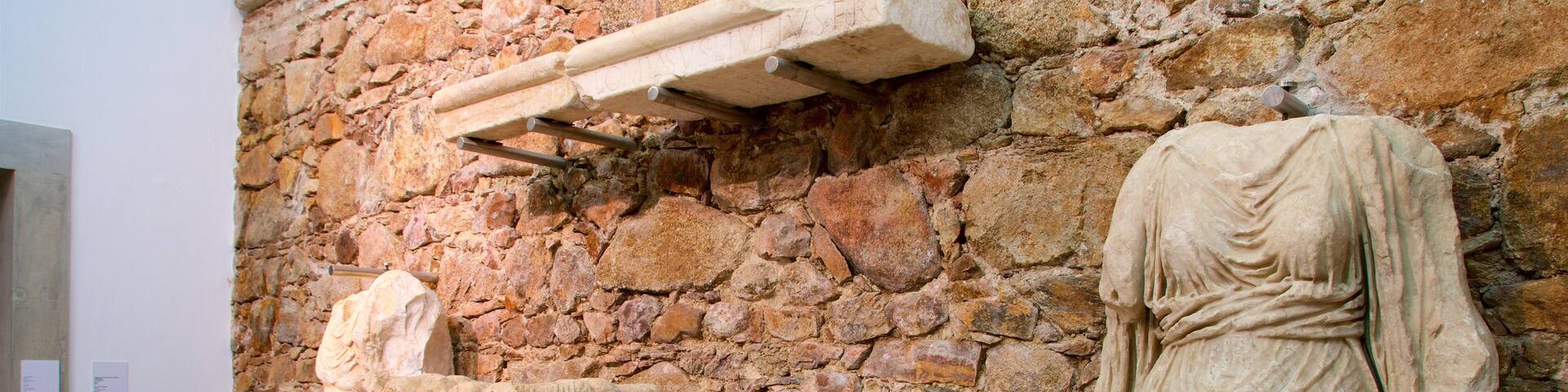 Evora Museum featuring interior views and heritage elements