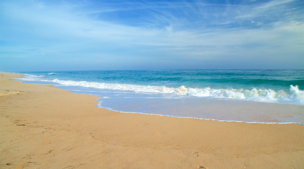 Ilha da Culatra Beach which includes a beach and general coastal views