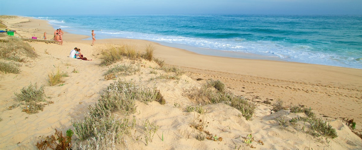 Ilha da Culatra Beach showing general coastal views and a beach as well as a small group of people