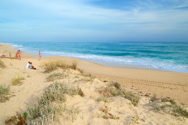 Ilha da Culatra Beach showing a beach and general coastal views as well as a small group of people