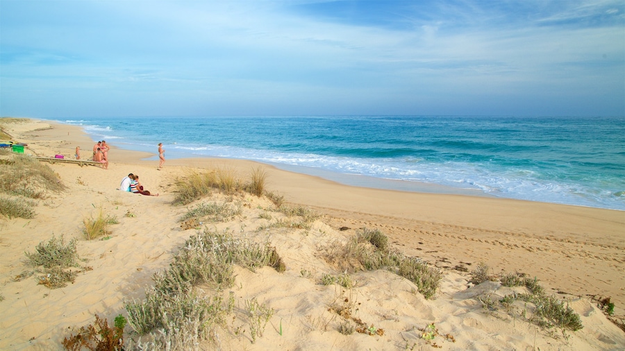 Ilha da Culatra Beach which includes general coastal views and a beach as well as a small group of people