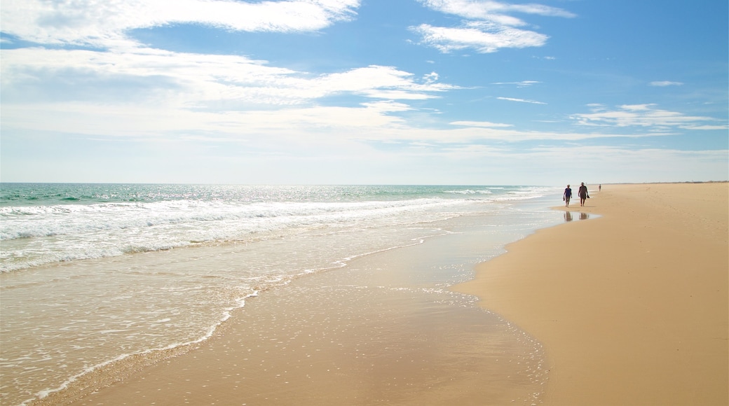 Terra Estreita Beach showing general coastal views and a sandy beach as well as a couple