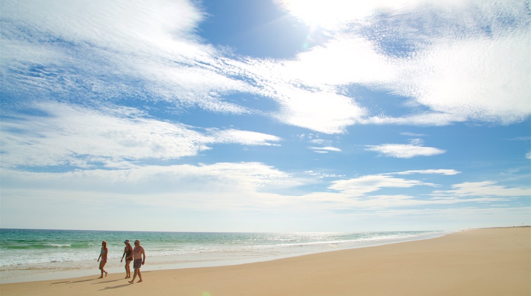 Playa de Terra Estreita mostrando vistas de una costa y una playa y también un grupo pequeño de personas