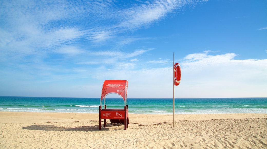 Terra Estreita Beach showing a sandy beach and general coastal views