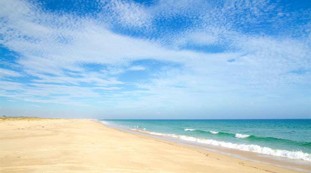 Terra Estreita Beach showing general coastal views and a beach