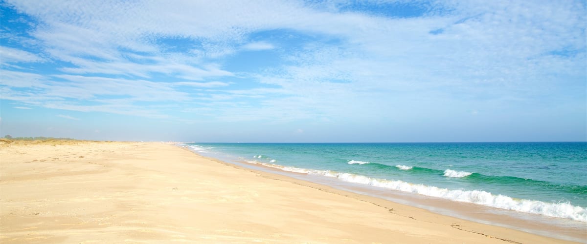 Playa de Terra Estreita que incluye una playa de arena y vistas generales de la costa