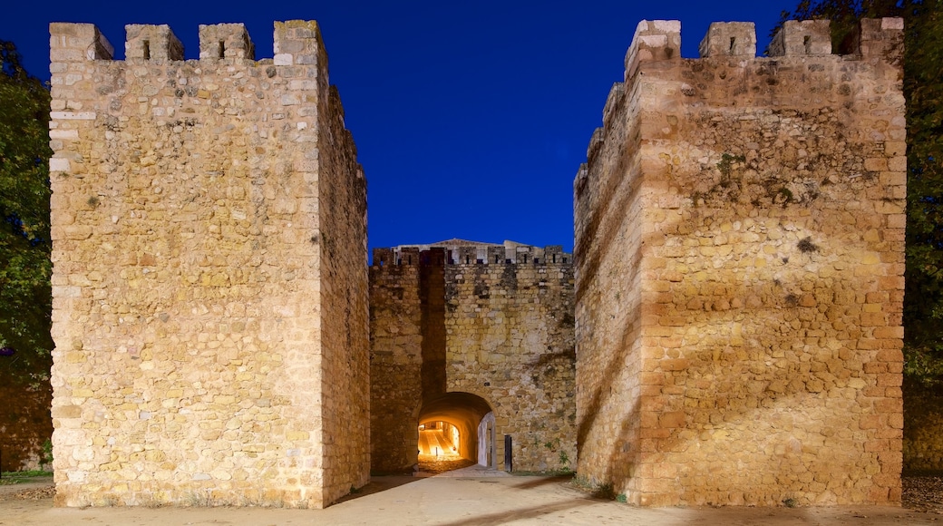 Arco di Sao Goncalo caratteristiche di paesaggio notturno, oggetti d\'epoca e castello o palazzo