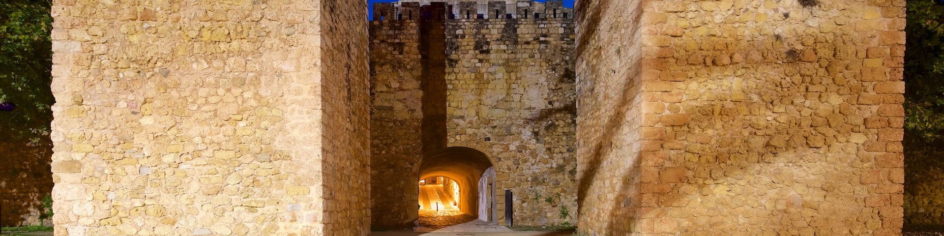 Arch of Sao Goncalo featuring chateau or palace, heritage elements and night scenes
