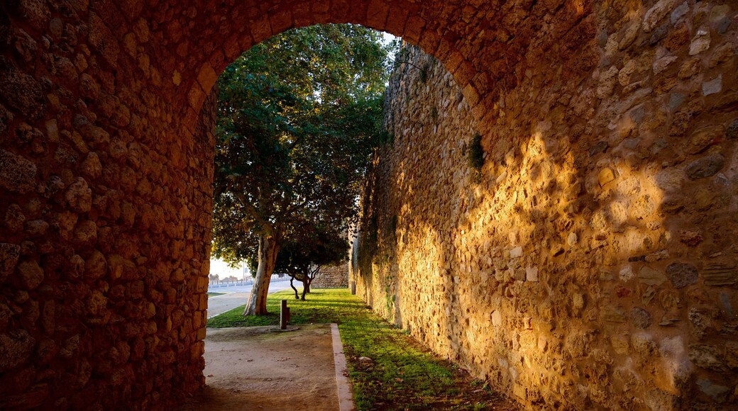 Arco di Sao Goncalo che include oggetti d\'epoca