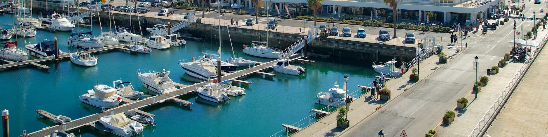 Cascais Marina which includes a bay or harbor and general coastal views