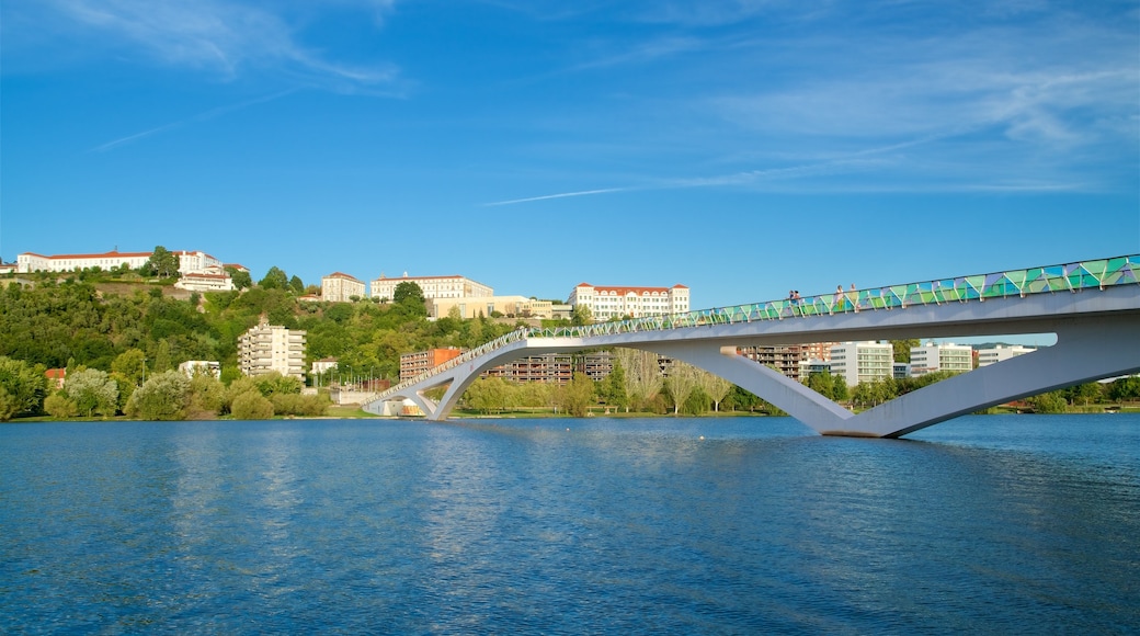 Pedro and Ines Footbridge showing a city, a river or creek and a bridge