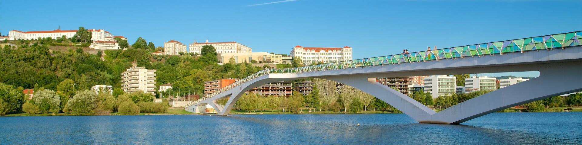 Pedro and Ines Footbridge showing a city, a river or creek and a bridge