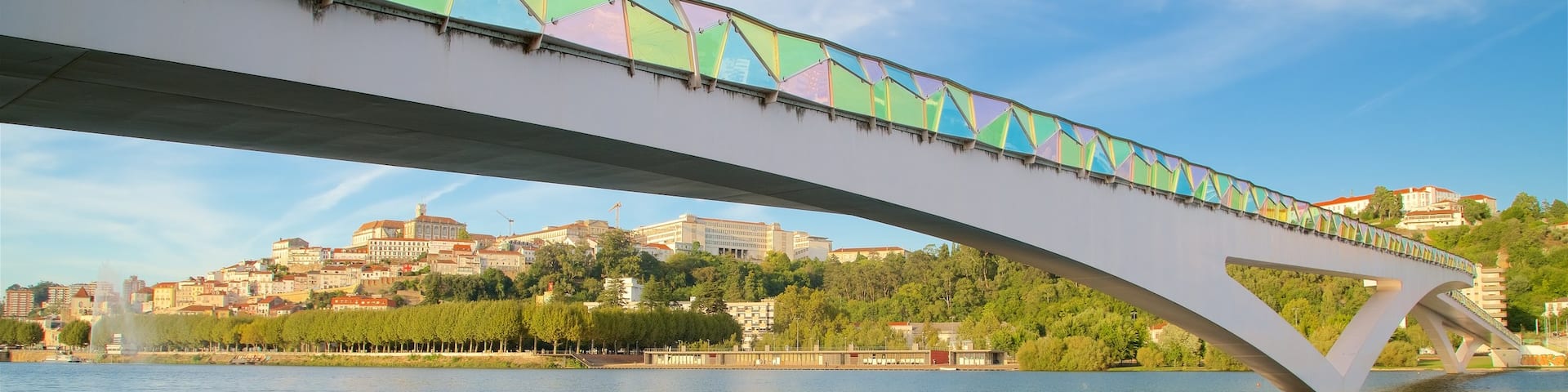 Pedro and Ines Footbridge which includes a river or creek, a bridge and a city