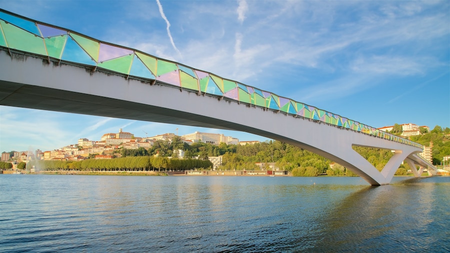 Pedro and Ines Footbridge which includes a river or creek, a bridge and a city