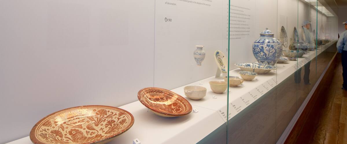 Coimbra que incluye elementos del patrimonio y vistas interiores