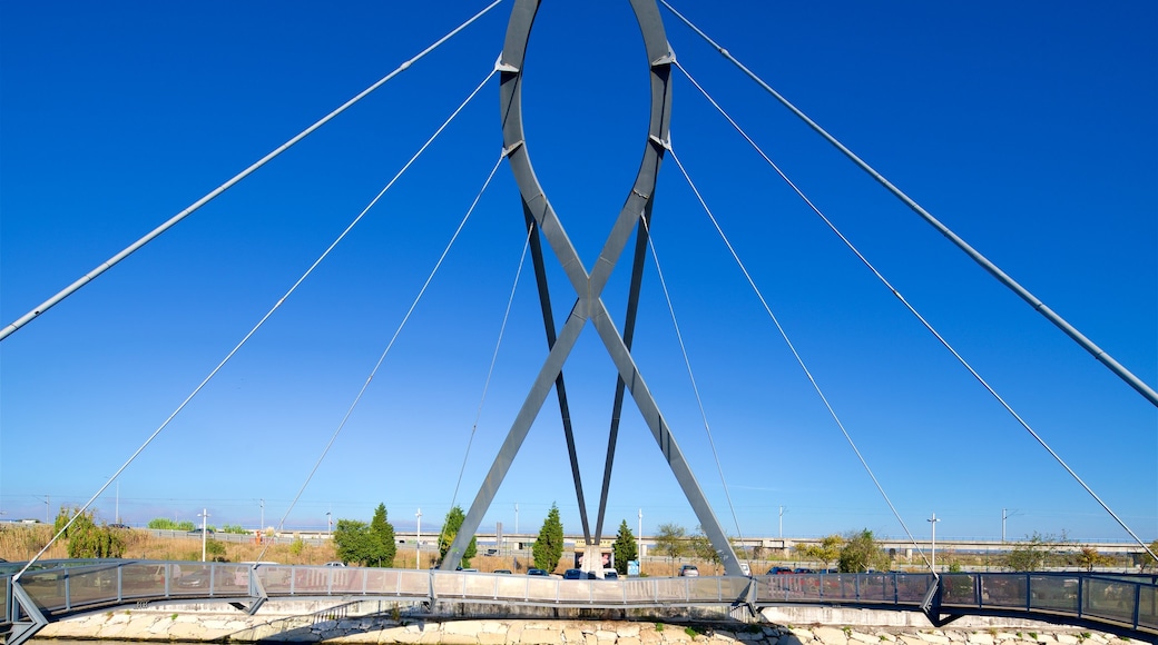 Aveiro mit einem Brücke