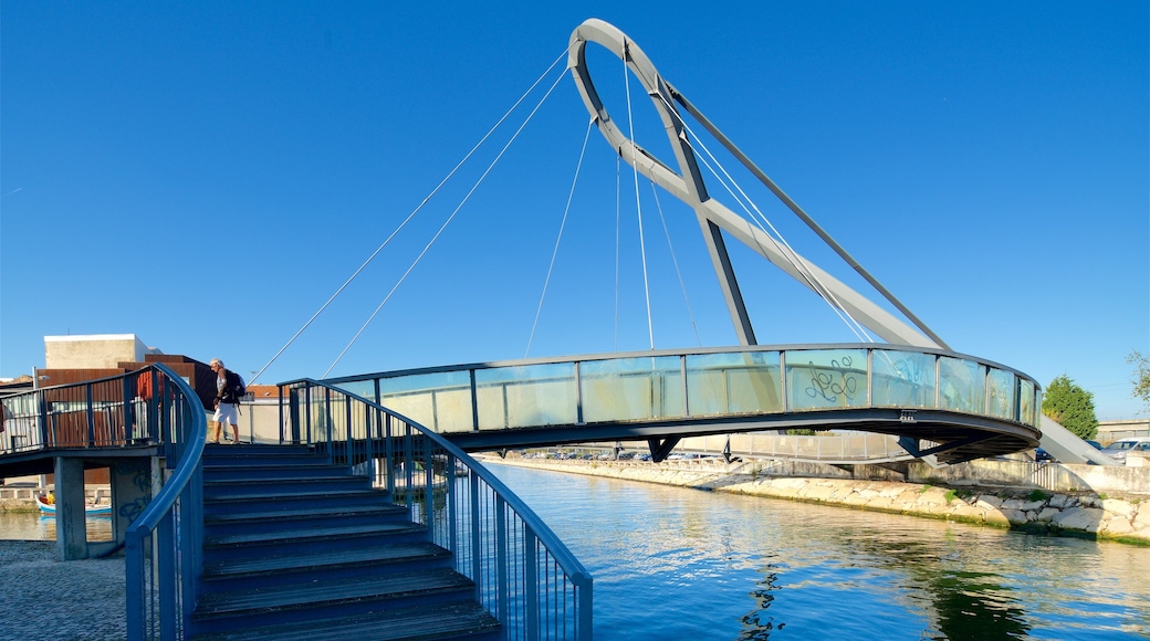 Aveiro District showing a bridge and a river or creek