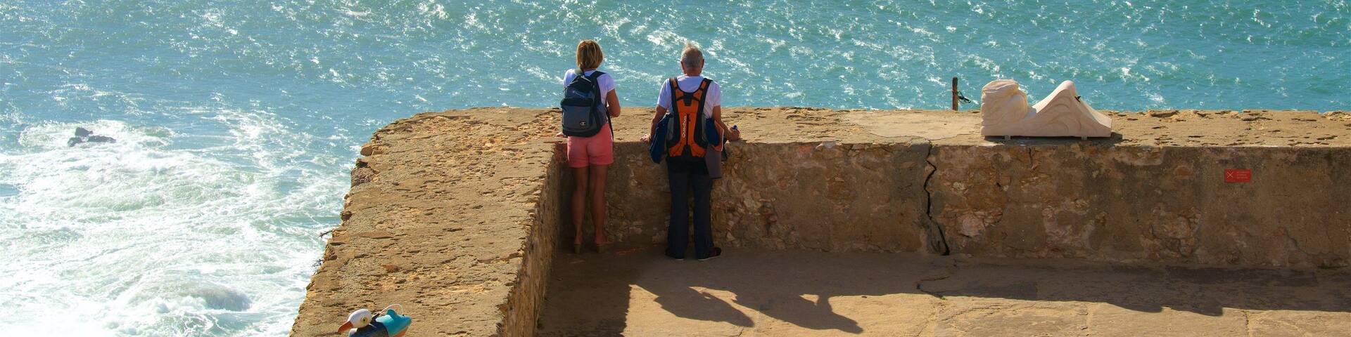 Nazare showing views and general coastal views as well as a couple