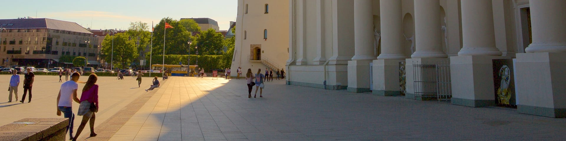 Vilnius Cathedral which includes a square or plaza and heritage elements as well as a small group of people