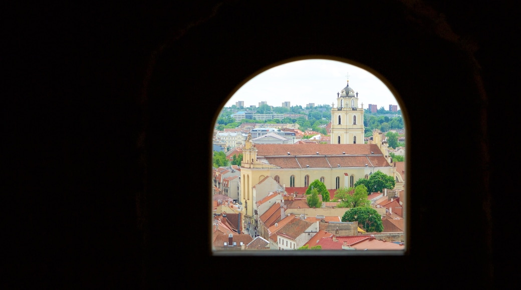 Torre Gediminas ofreciendo una ciudad y vista interna