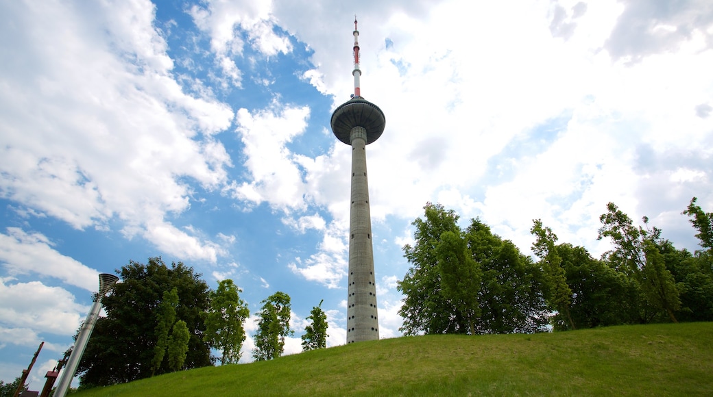 Vilnius TV Tower showing a park