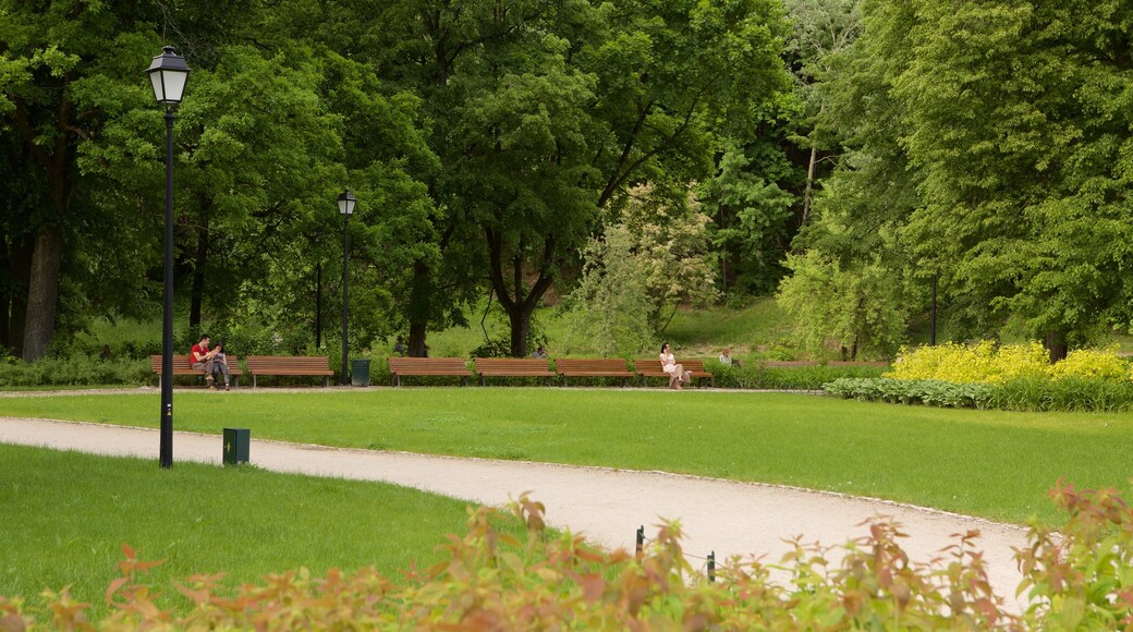 Vilnius das einen Park