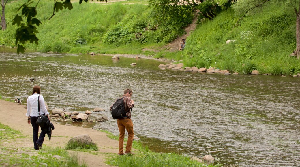 Vilnius welches beinhaltet Fluss oder Bach sowie Paar