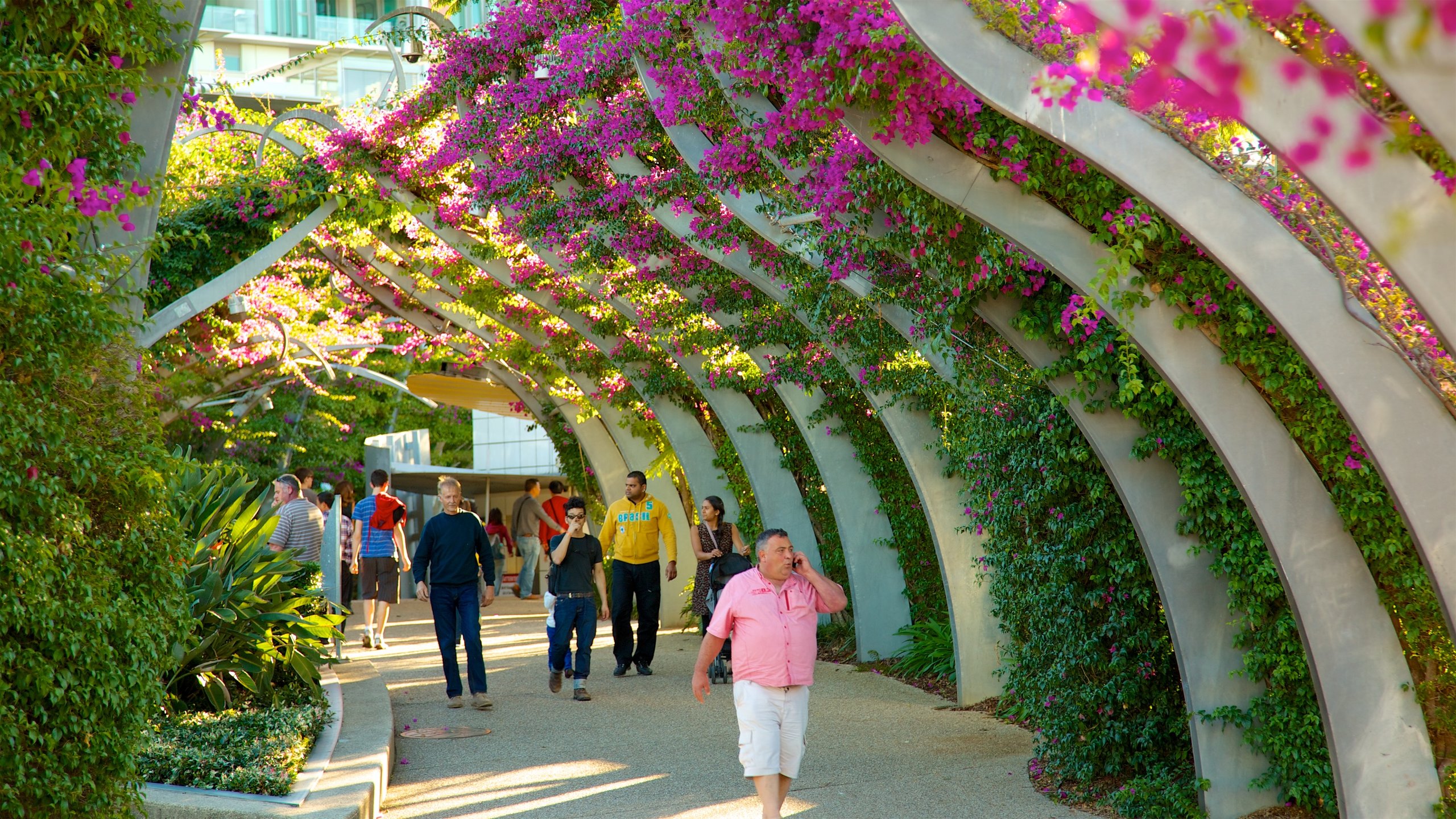 South Bank Parklands - Brisbane, Queensland 