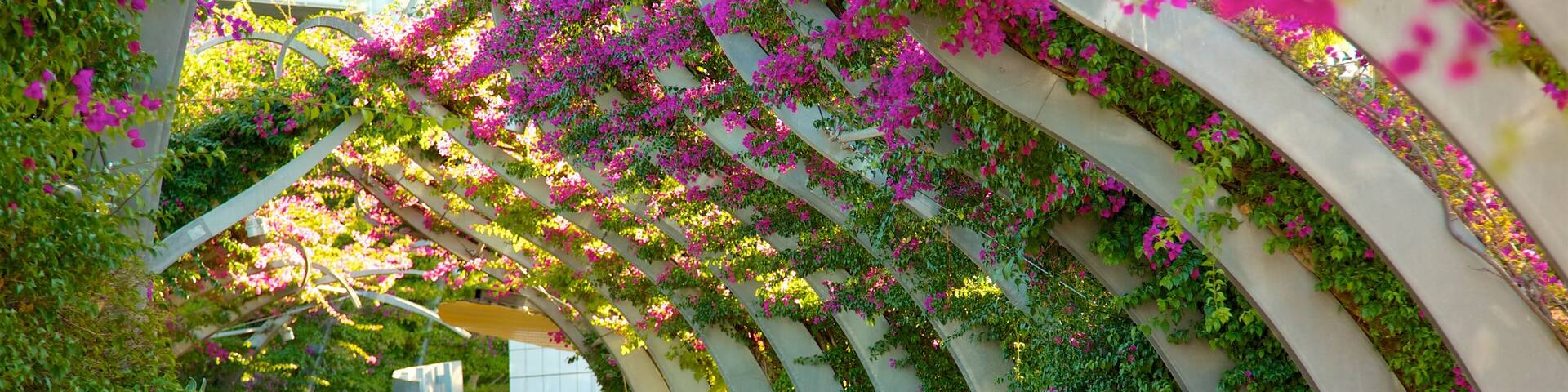 Southbank Parklands showing wild flowers and a garden as well as a small group of people