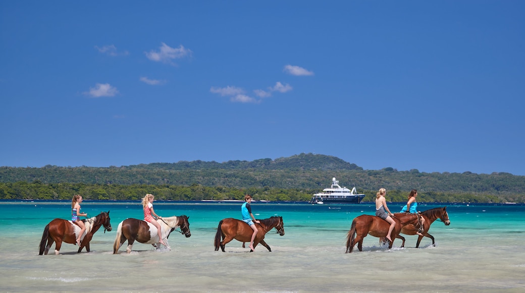 Ratua Island showing a river or creek and land animals as well as a small group of people