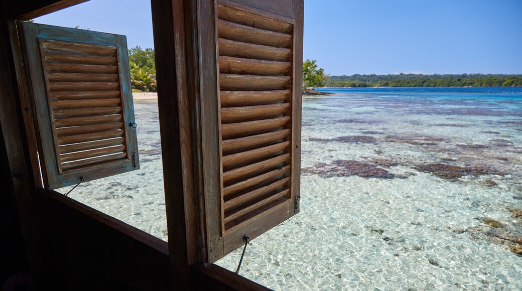 Ratua Island featuring interior views, general coastal views and tropical scenes