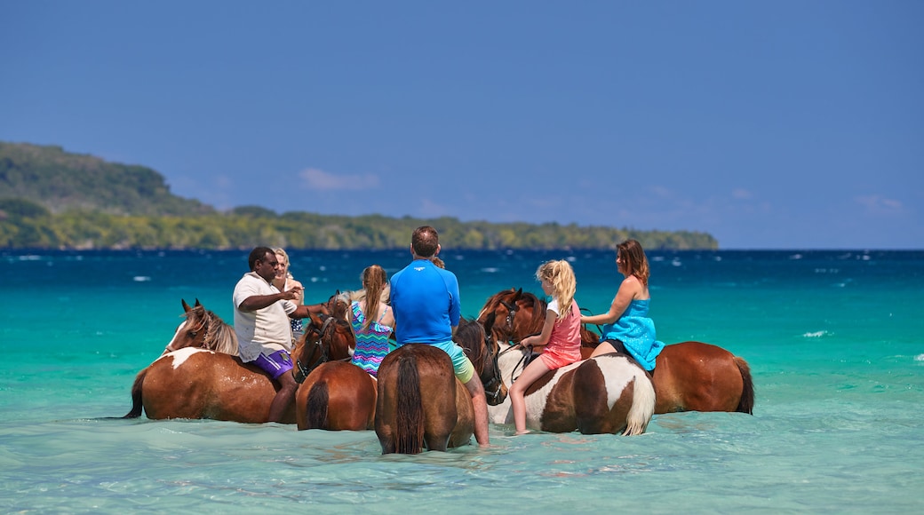 Ratua Island featuring tropical scenes, land animals and general coastal views