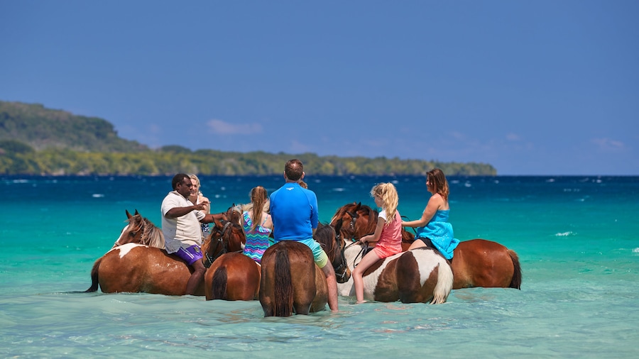 Ratua Island showing land animals, general coastal views and tropical scenes