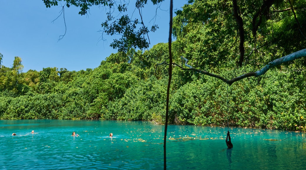 Malo Island inclusief een rivier of beek en zwemmen en ook een klein groepje mensen