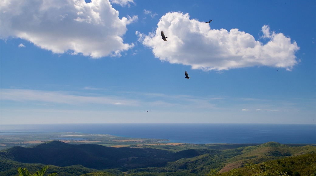 Topes de Collantes National Park che include paesaggi rilassanti, vista del paesaggio e volatili