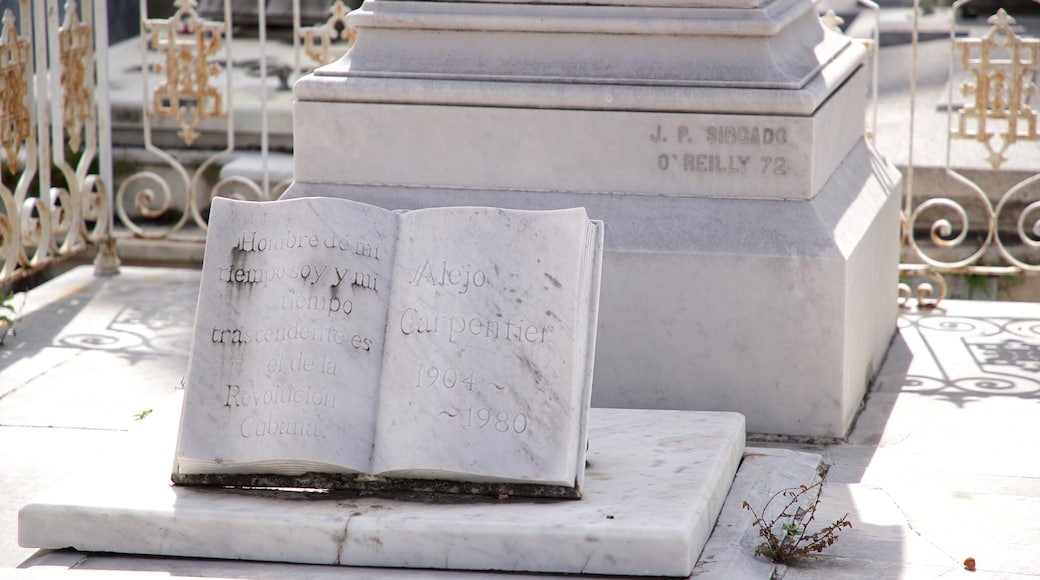 Necropolis de Colon featuring a cemetery