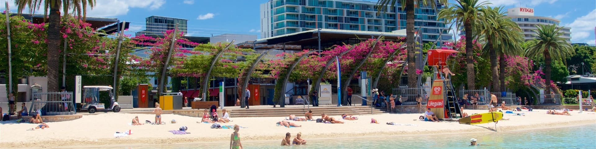 Southbank Parklands which includes a sandy beach, general coastal views and wildflowers