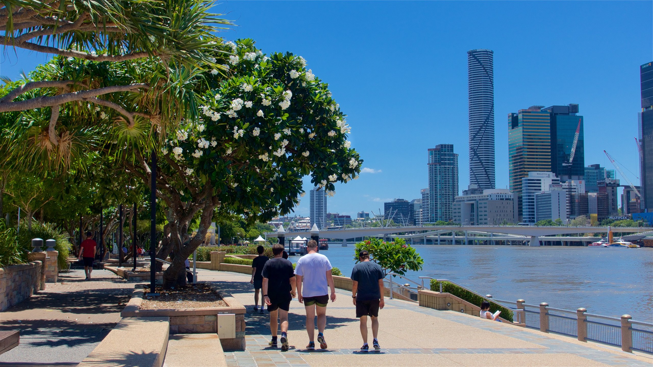 South Bank, Brisbane, Queensland