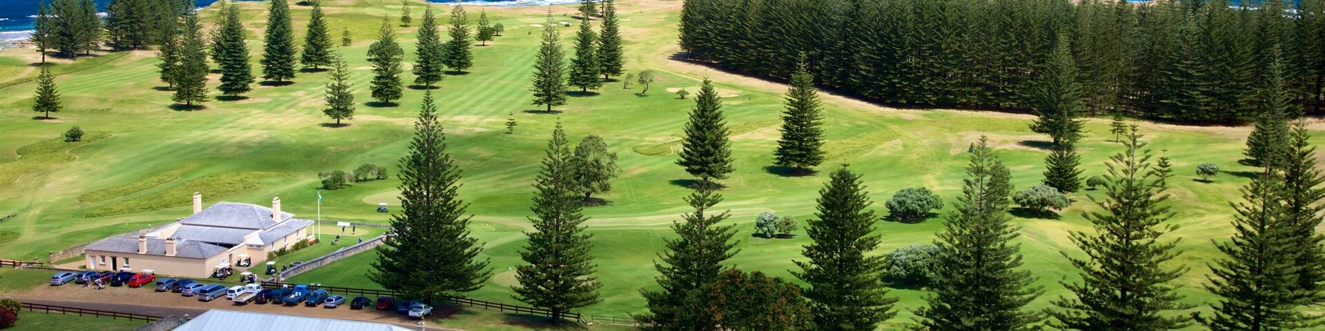 Norfolk Island featuring tranquil scenes, general coastal views and a small town or village